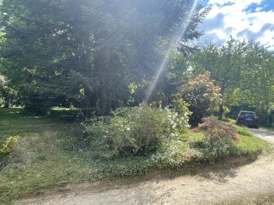 Property For Sale
