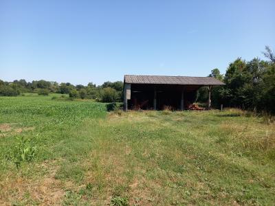 Property For Sale