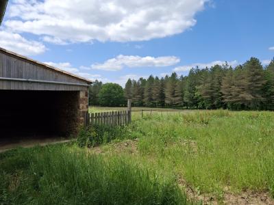 Beautiful Detached Country House wit Outbuildings