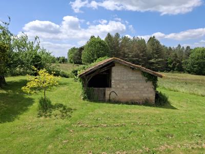 Beautiful Detached Country House wit Outbuildings