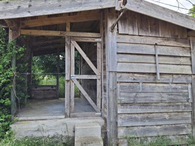 Beautiful Detached Country House wit Outbuildings