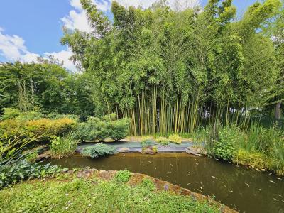 Villa with Swimming Pool and Pond