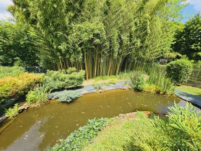 Villa with Swimming Pool and Pond