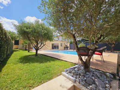 Villa with Swimming Pool and Pond