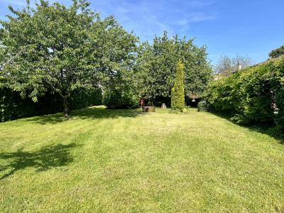 Property For Sale