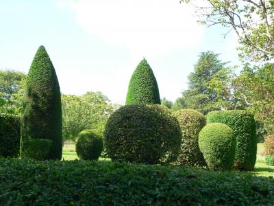 Detached Manor House with Pool and Land