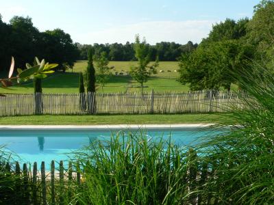 Detached Manor House with Pool and Land