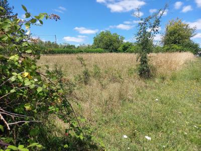 Property For Sale