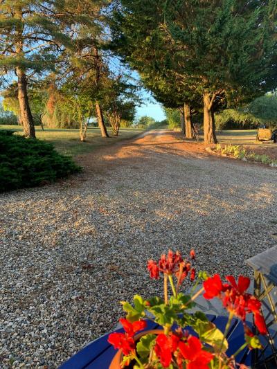 Farmhouse and Barn Conversion, Pool and Open Views