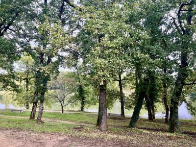 Beautiful Apartment is the Perfect Getaway Holiday Home