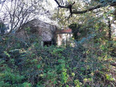 Huge Countryside Barn to Renovate