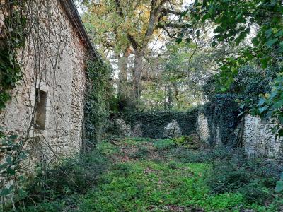Huge Countryside Barn to Renovate