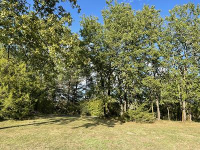 Beau Terrain Boise Avec Permis De Construire