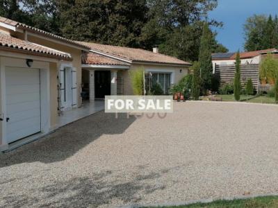 Single Storey Villa With Garden