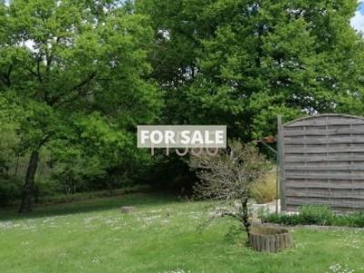 Single Storey Villa With Garden