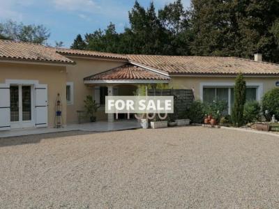 Single Storey Villa With Garden