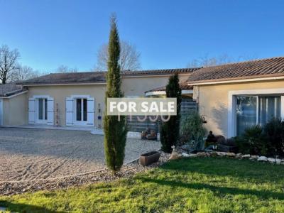 Single Storey Villa With Garden