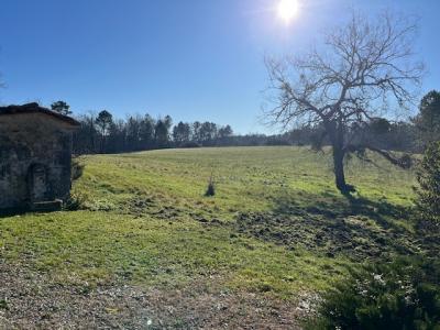 Longere Authentique