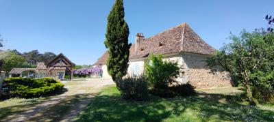 Longere Authentique