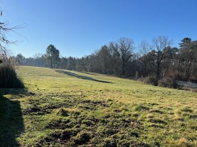 Longere Authentique