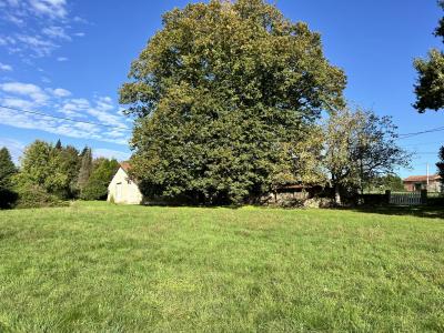 House And Barn To Renovate in Large Garden