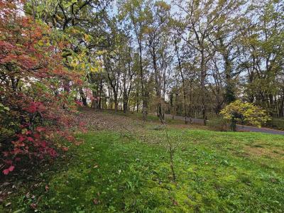Detached Country House with Mature Garden