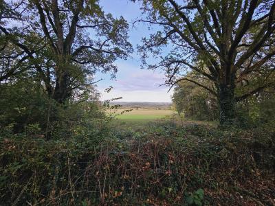 Detached Country House with Mature Garden