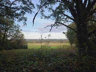 Detached Country House with Mature Garden