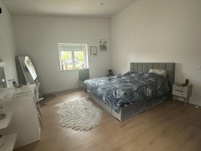 Detached House with Swimming Pool