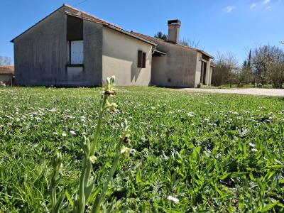 Detached House with Large Garden