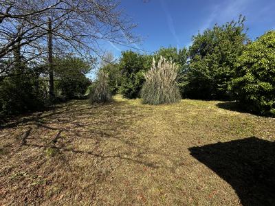 Detached Country House with Open Views
