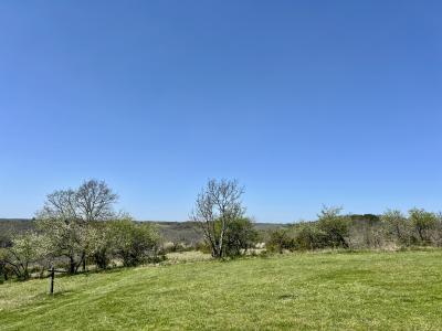 Property For Sale