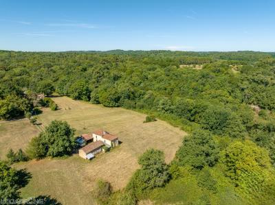 Property For Sale