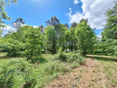Detached Country House with No Neighbours