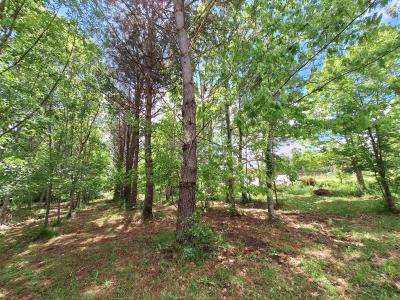 Detached Country House with No Neighbours