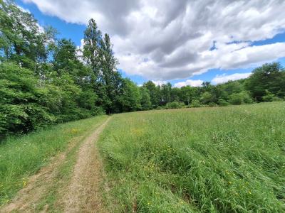 Detached Country House with No Neighbours