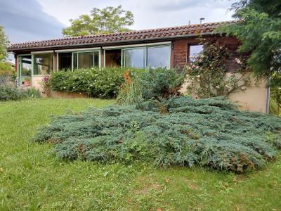 Detached House with Water Lily Pond in Large Garden