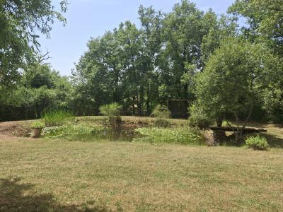 Detached House with Water Lily Pond in Large Garden