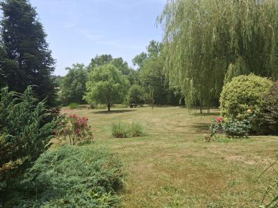 Detached House with Water Lily Pond in Large Garden