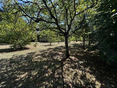 Detached Country House with Swimming Pool