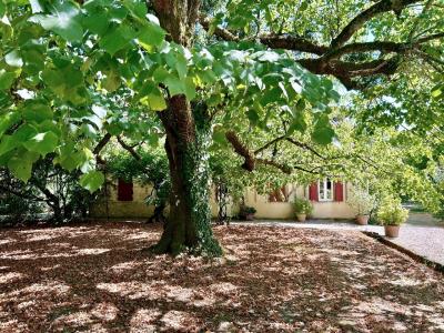Detached Country House with Outbuildings and Lovely Pool