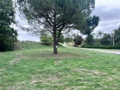 Detached Country House With Outbuildings and Land