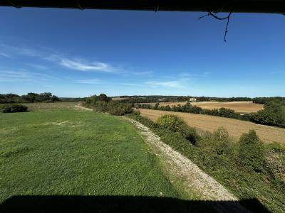 Detached Country House with Guest Cottage and Pool