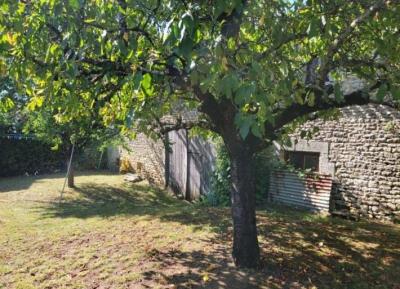 Beautiful Stone House With Numerous Outbuildings