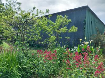 Neo-Breton Detached House with Garden