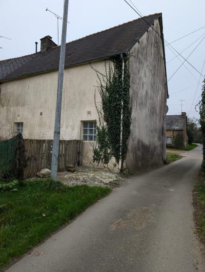 Recently Renovated House with Garden