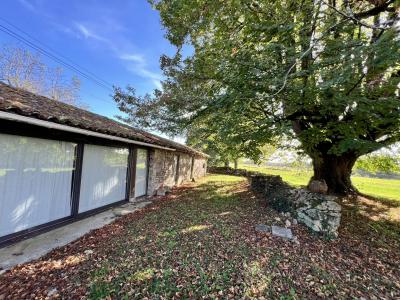 House And Barn To Renovate in Large Garden