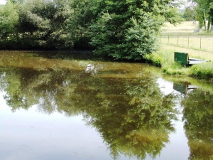 Main House with Guest Gite and Lake