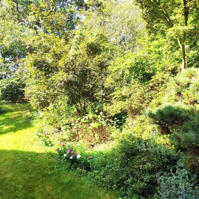 Farmhouse With Pool, Guest Apartments, 1.2 Hectares