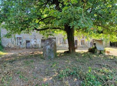 Former Manor House and Cottages To Renovate